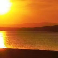 让我困在城市里