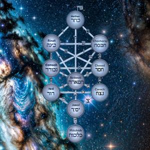 세피로트의 나무