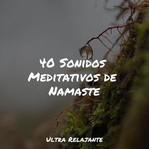 Hamaca En Los Árboles