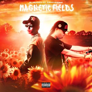 Magnetic Fields 磁場