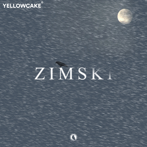 Zimski