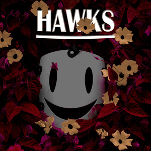 HAWKS