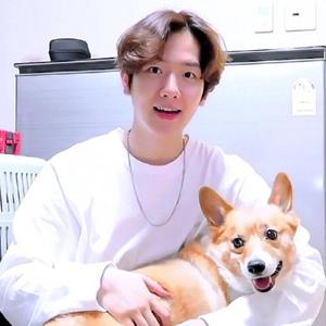 나의 시간은 (我的时间)（翻自 伯贤）