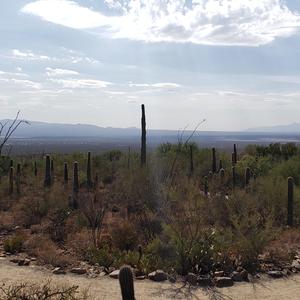 Missin' You (feat. Peso)