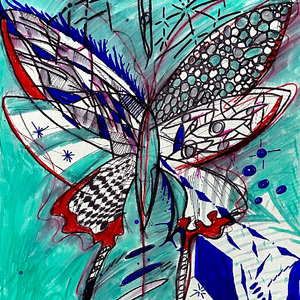 鱼缸里的陨石坑