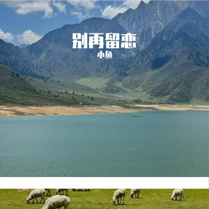 别再留恋