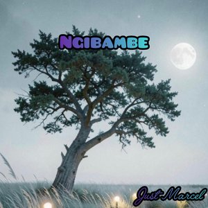 Ngibambe