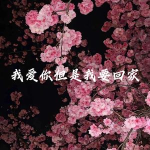 我爱你但是我要回家