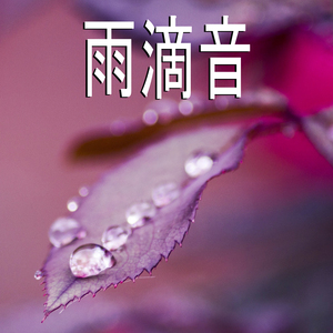 雨滴音,17部
