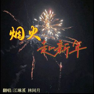 烟火赴新年