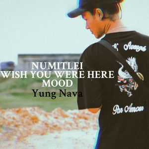 Numitlei Wish You Were Here Mood