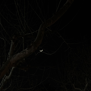 FG•舟山黄泥坑渔民们正在打鱼.wav