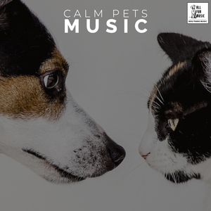 Pet Separation Anxiety Cure