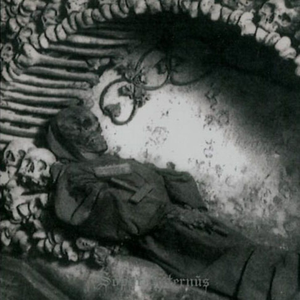 Time Stands Still...(But Slows No One)