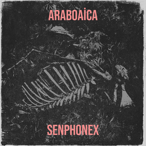 Araboaica