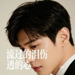 流过的泪伤透的心