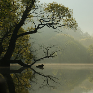 SHUN DEM (Instrumental Version)