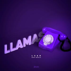 Llamas (feat. masalabeats)