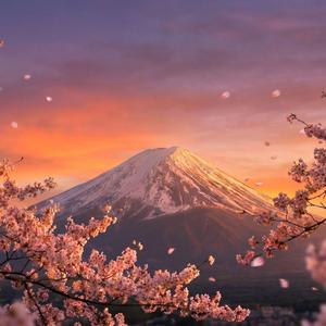 さくらさくら (Koto & Shakuhachi)