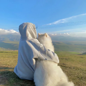 我等的不是雪（烟嗓版）