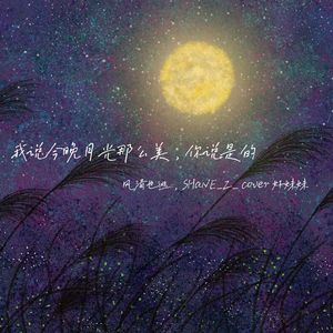 我说今晚月光那么美，你说是的