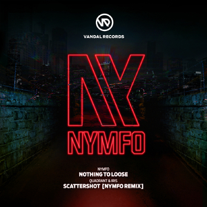 Nothing To Loose (Original Mix)