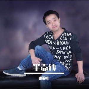 半壶纱
