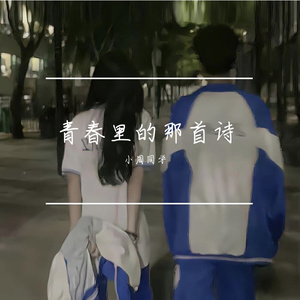 青春里的那首诗