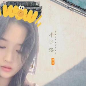 姑苏有位沈姑娘