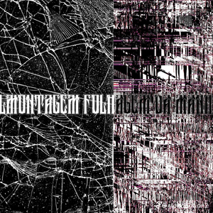 Montagem folhagem da manhã (Speed Up)