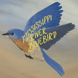 Mississippi River Bluebird