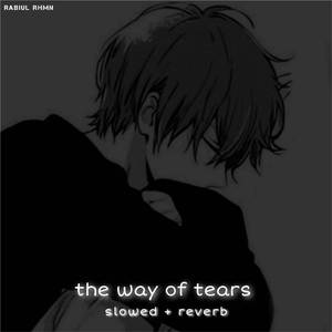 The Way of Tears (slowed + reverb)