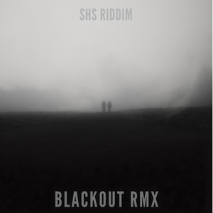 I'm Go All in (Remix)