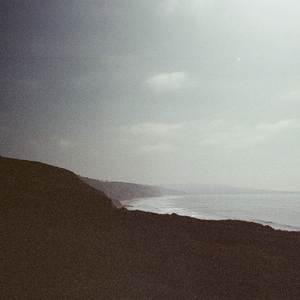 a garden grows between us