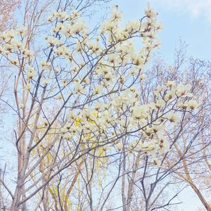 别来无恙