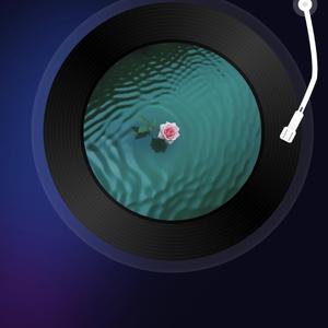 Gönül Dağı (Saz Bass Cover) (cover version)