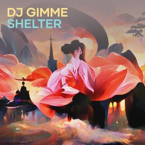 Dj Gimme Shelter