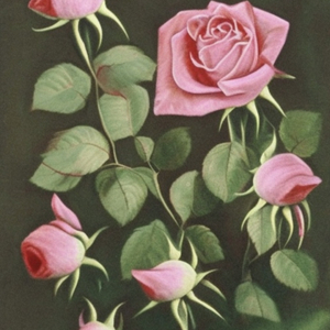 无题(prod by CozyGetMoreMoney)