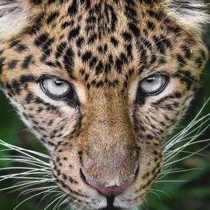 Саяси және (oRGiNal Mix)