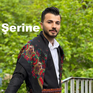 Şerine