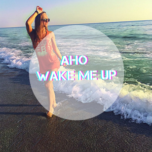 Wake Me Up