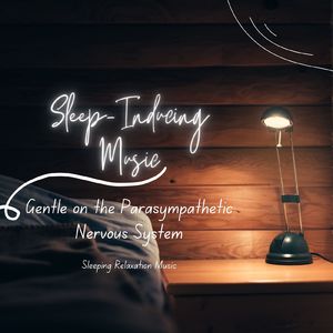 真夜中の静けさ～波の音～