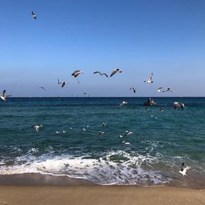 微风悄悄 (AnaNg Remix)