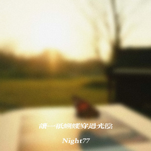 让一只蝴蝶穿过光阴