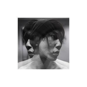 菠萝菠萝蜜 demo