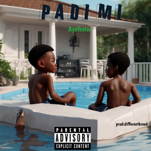 PADI MI