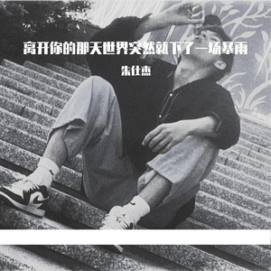 离开你的那天世界突然就下了一场暴雨