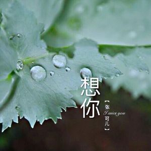 想你