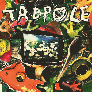 Tadpole