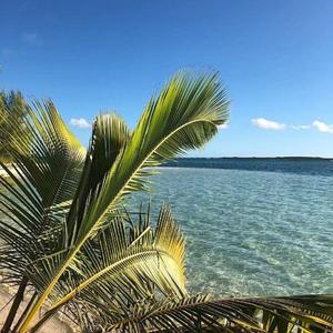 Calvin Harris-Summer（Uzller remix）